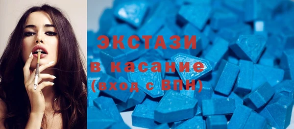 гашик Алексин