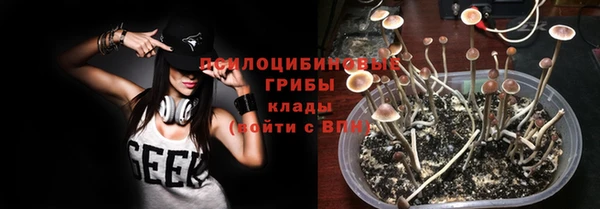 гашик Алексин