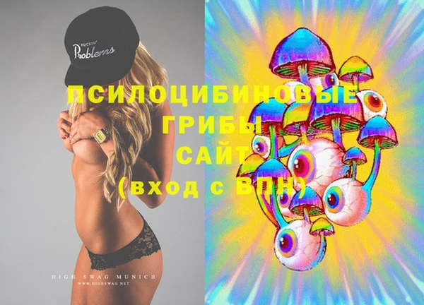 PSILOCYBIN Алзамай