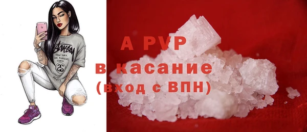 гашик Алексин