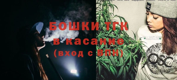 гашик Алексин