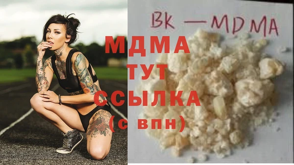 гашик Алексин