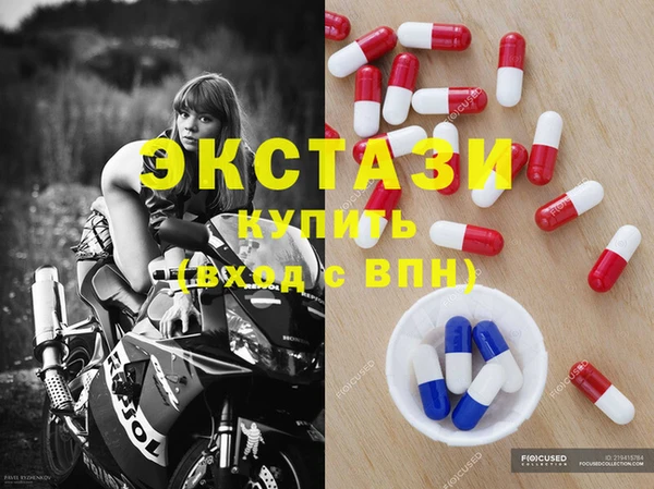гашик Алексин
