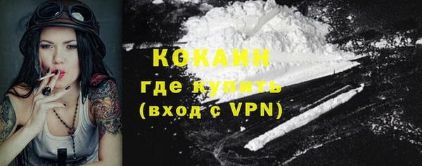 мет Протвино