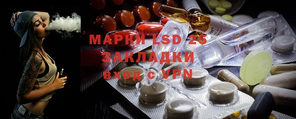 PSILOCYBIN Алзамай