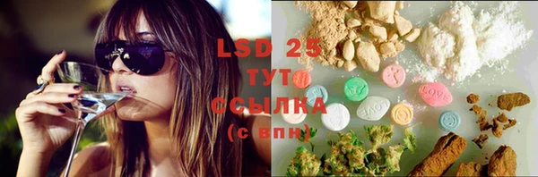 PSILOCYBIN Алзамай